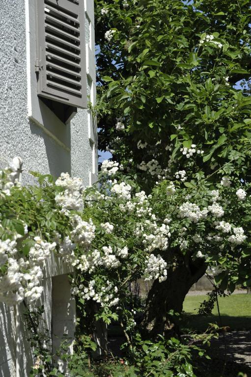 La Maison D'Hotes Du Parc 론샴프 외부 사진